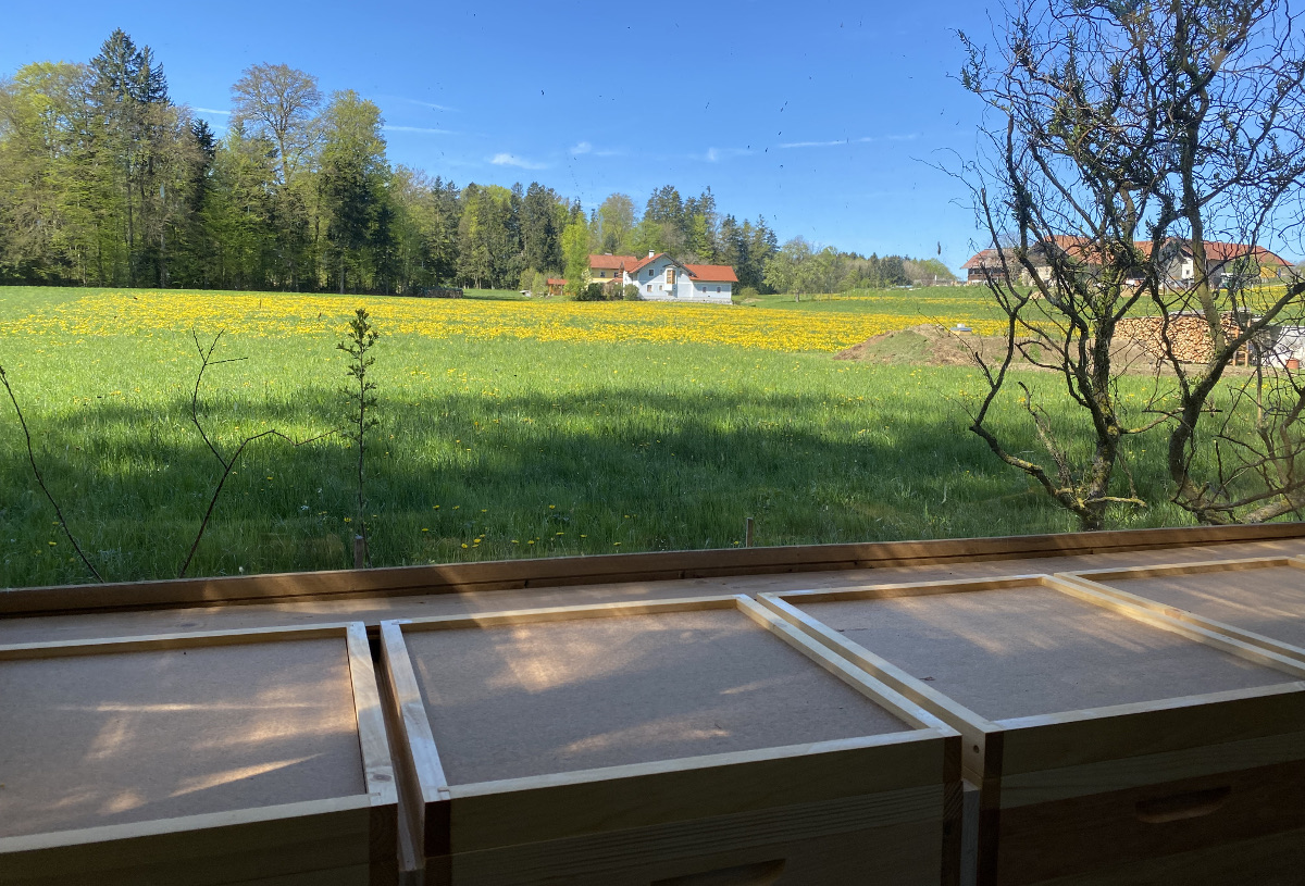 Bienenhaus Elixhausen