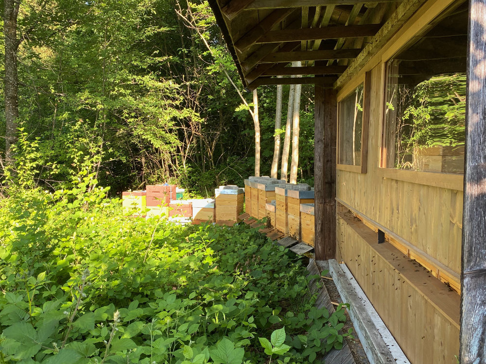Bienenhütte + Stand Elixhausen 02