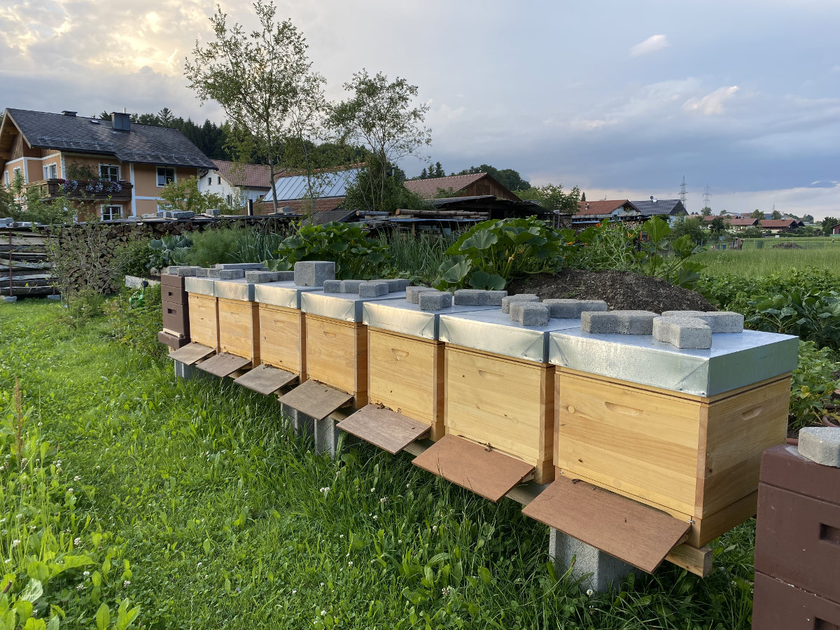Bienenstand Elixhausen 01
