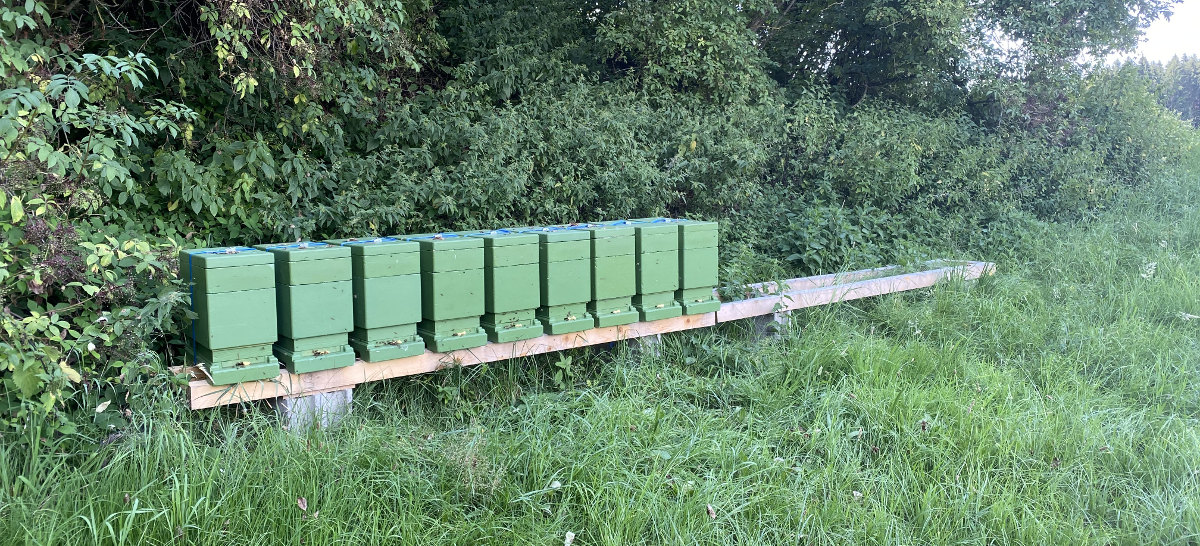 Bienenstand Eugendorf