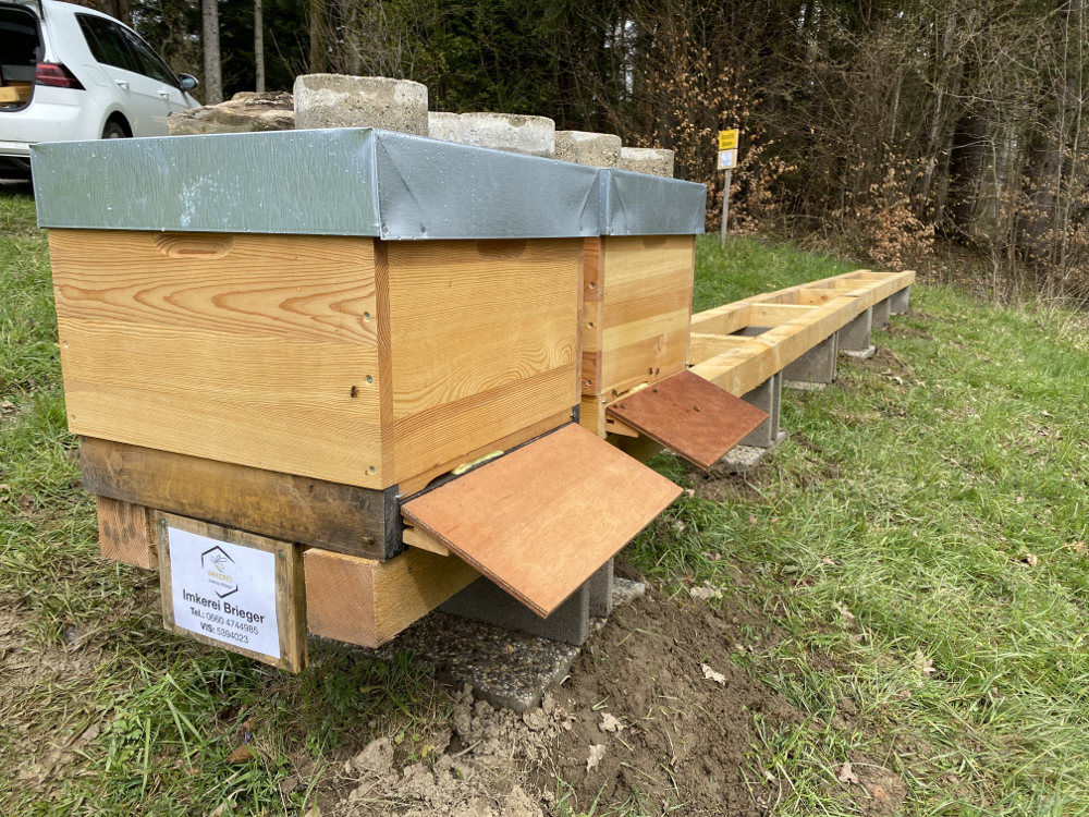 Bienenstand Elixhausen 03